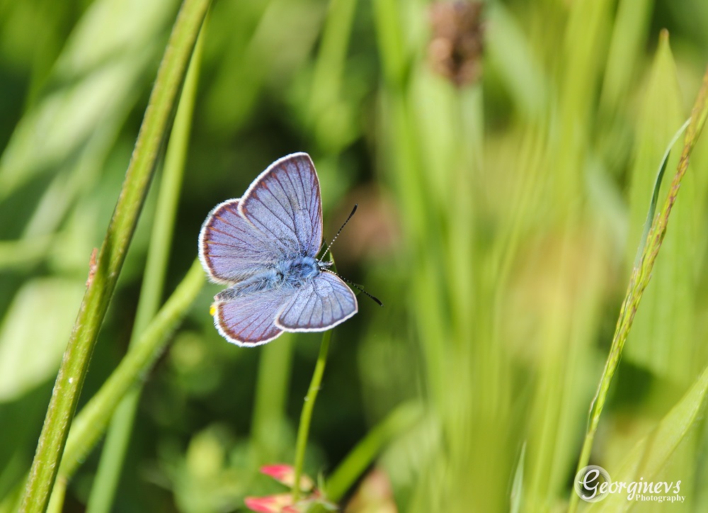 Deel de natuur