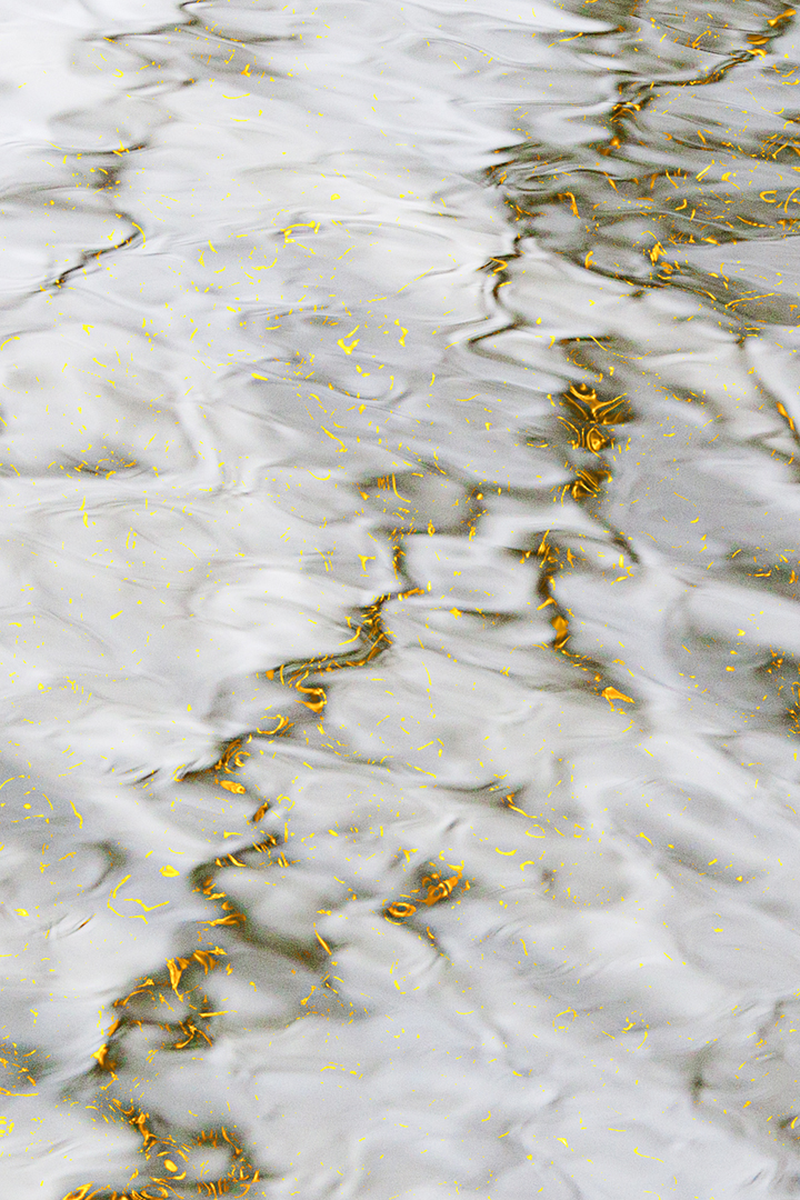 water met gouden achtergrond