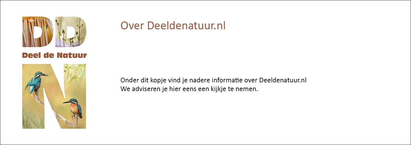 Over deeldenatuur.nl