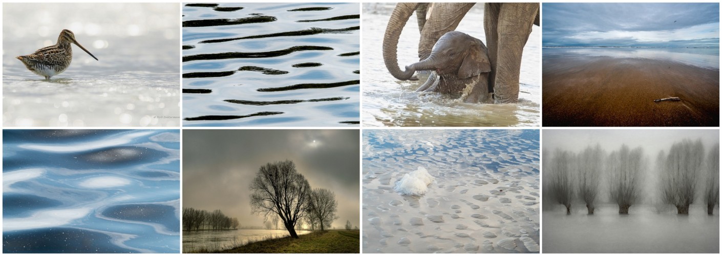 Thema van de maand januari - Water