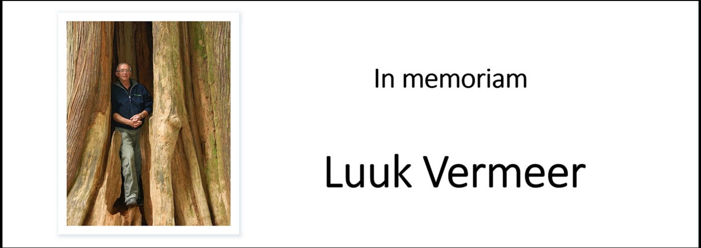 In memoriam - Luuk Vermeer