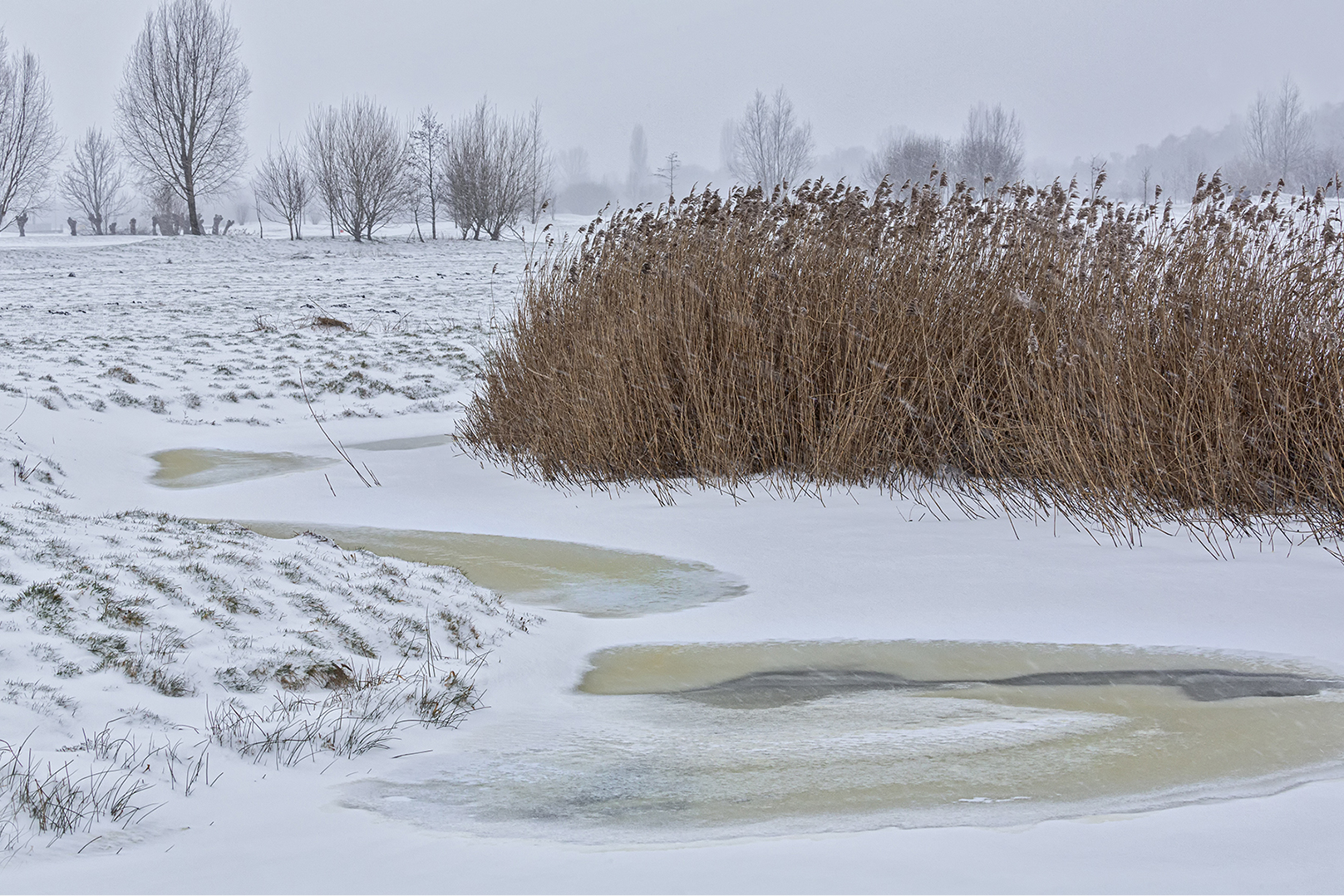0206-1 Winter in de polder 2021-02-08 Bw-pv-rs 1620