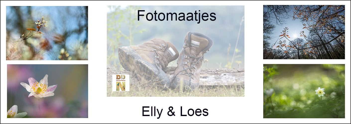 Fotomaatjes Elly & Loes