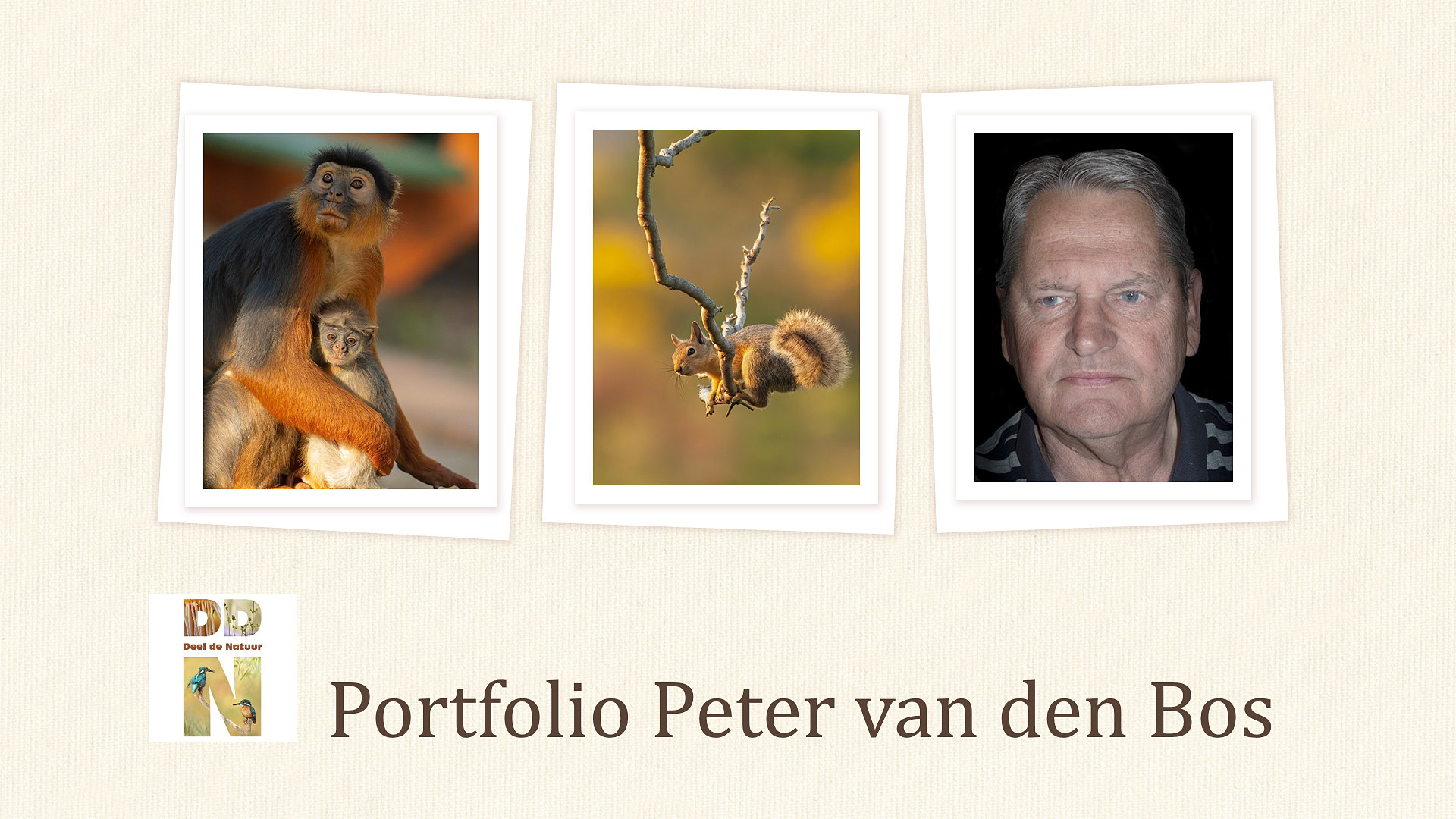 Portfolio Peter van den Bos