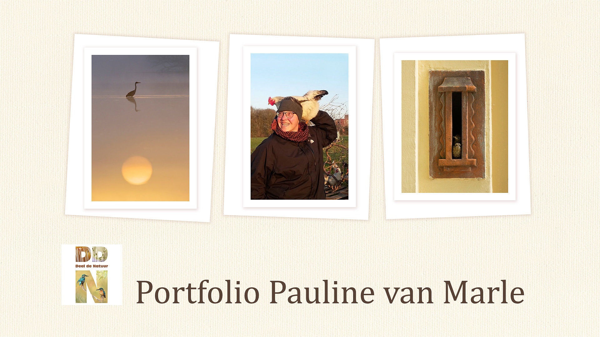 Portfolio Pauline van Marle Spotlight