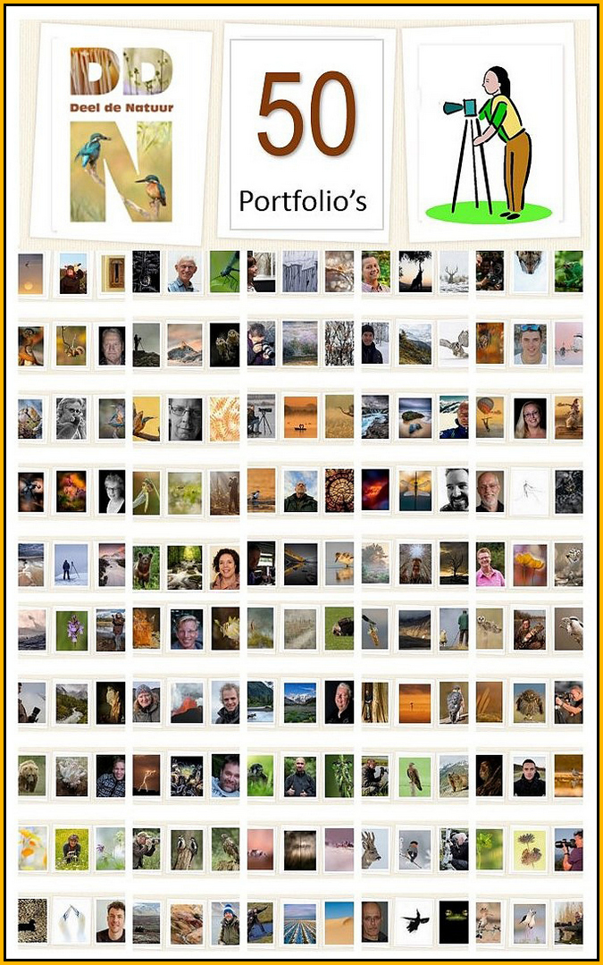 50 portfolio's
