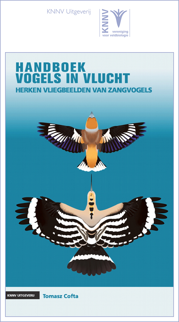 Uitgeverij KNVV  Vogels in de vlucht