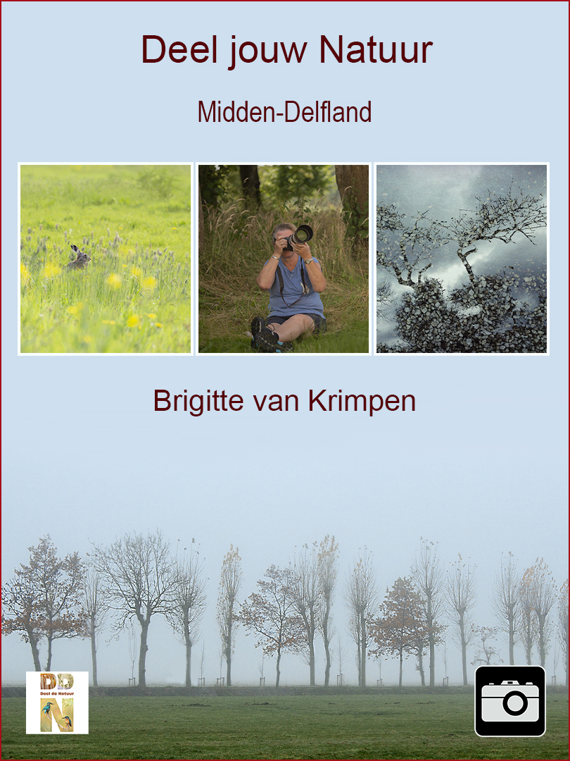 Brigitte van Krimpen - Midden-Delfland  Spotlight v2 