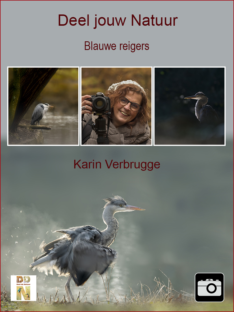 Karin Verbrugge - Blauwe reigers Spotlight