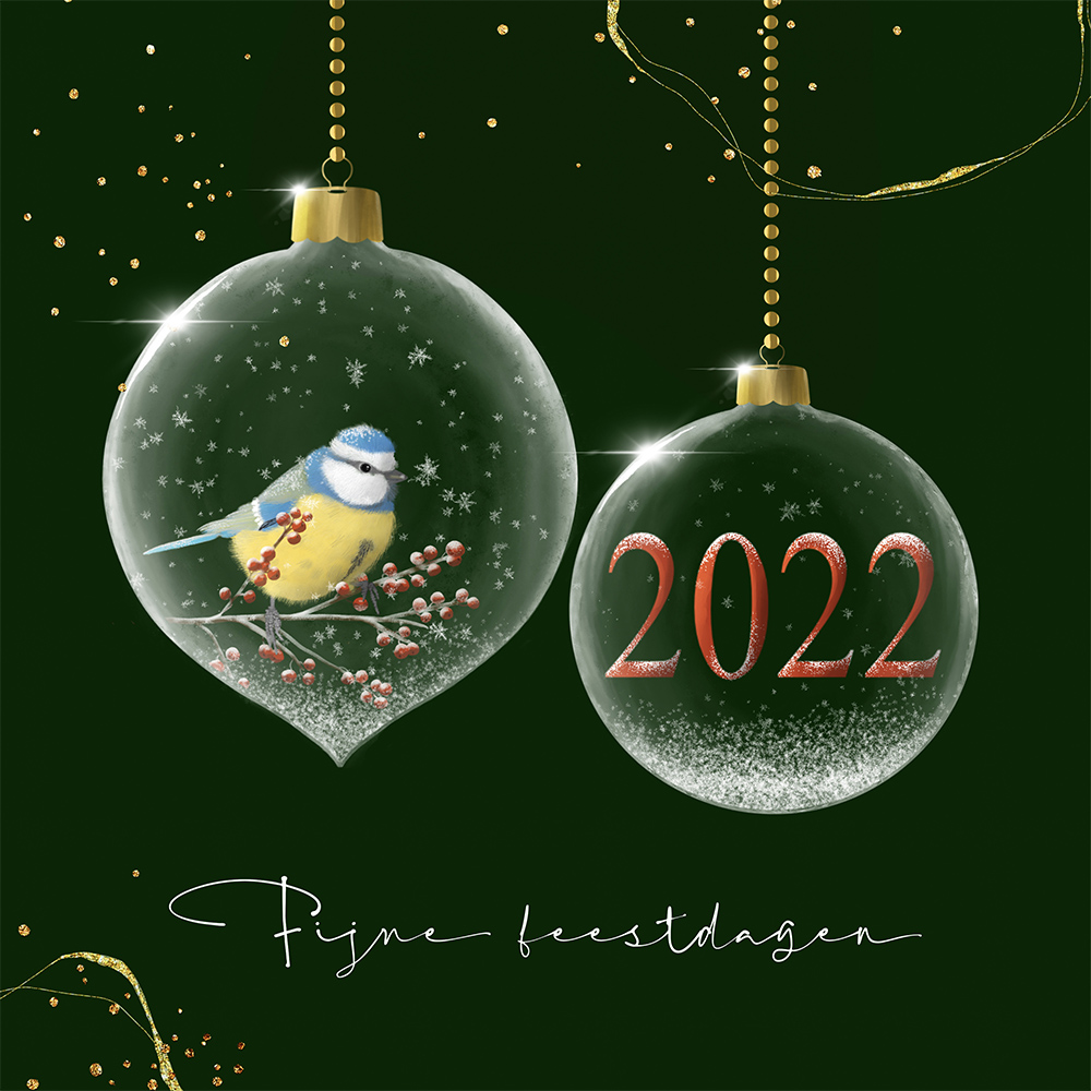 kerst glasballen vogel-2022 op d kopiëren kopiëren