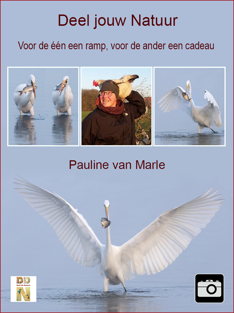 Pauline van Marle - Zilverreigers v2