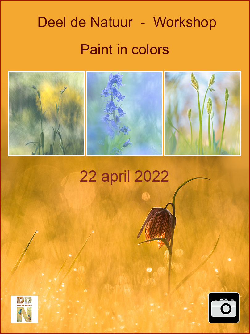 Workshop Paint in colors 22 april