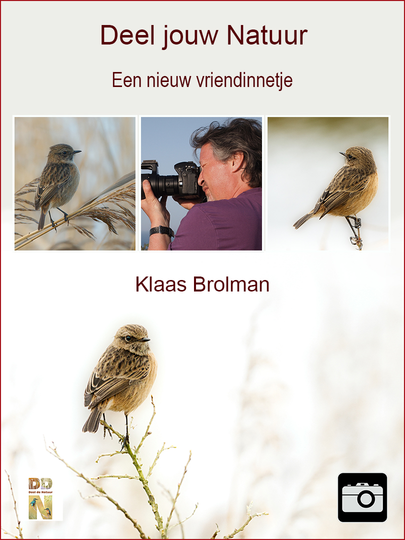 Klaas Brolman - Een nieuw vriendinnetje spotlight