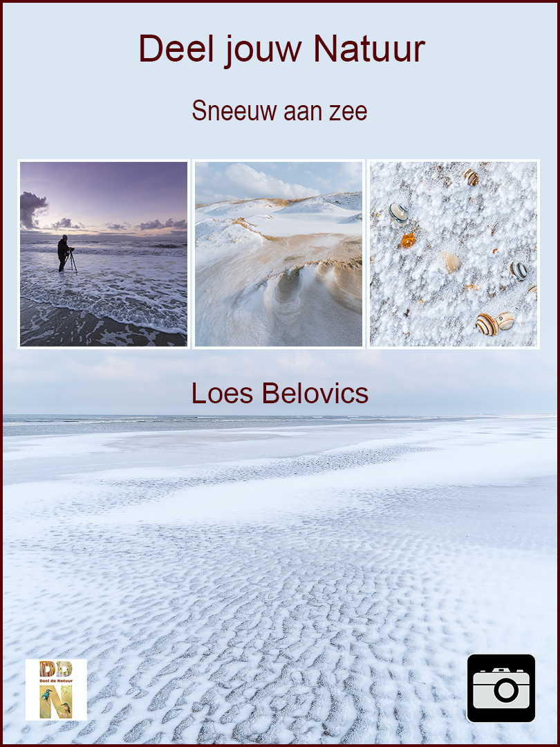 Loes Belovics - Sneeuw aan zee spotlight 