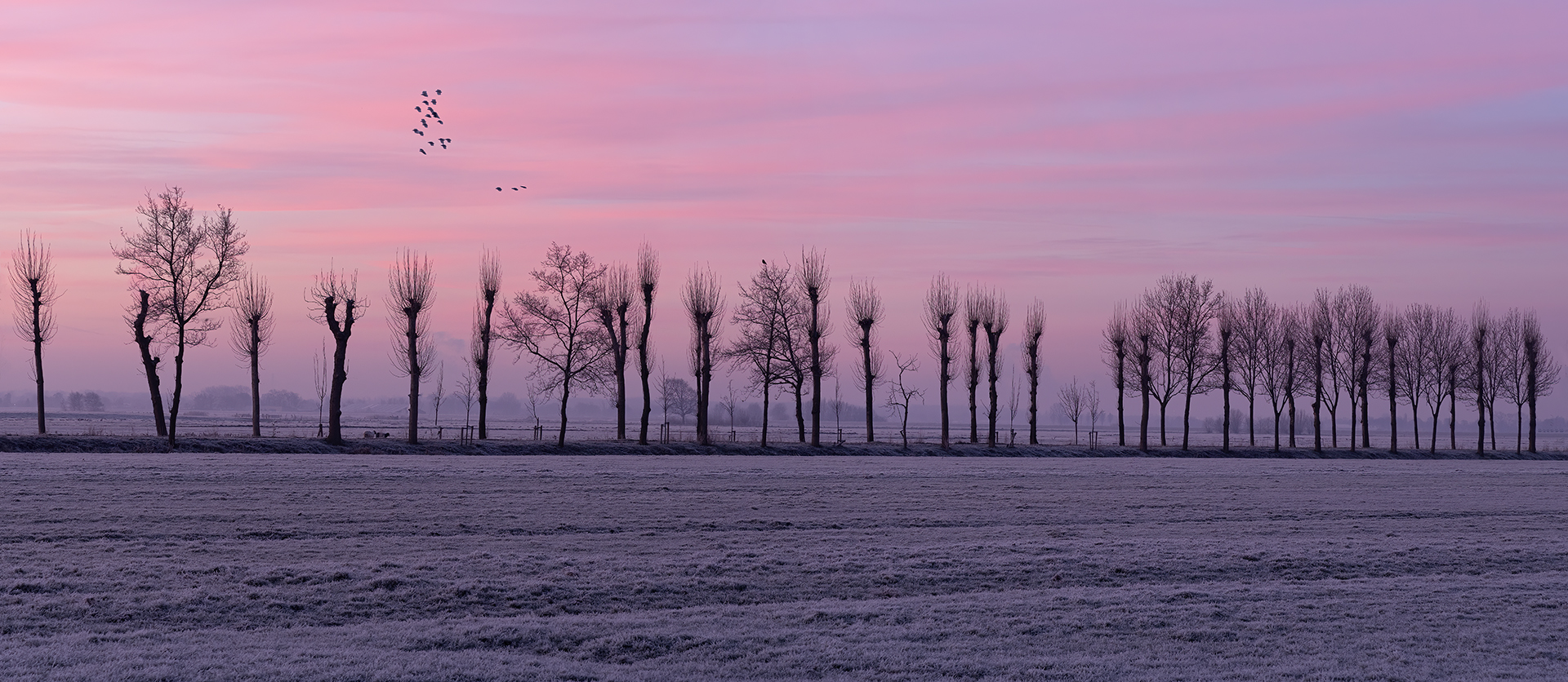 MIdden Delfland winter ochtend panorama5 1080PX