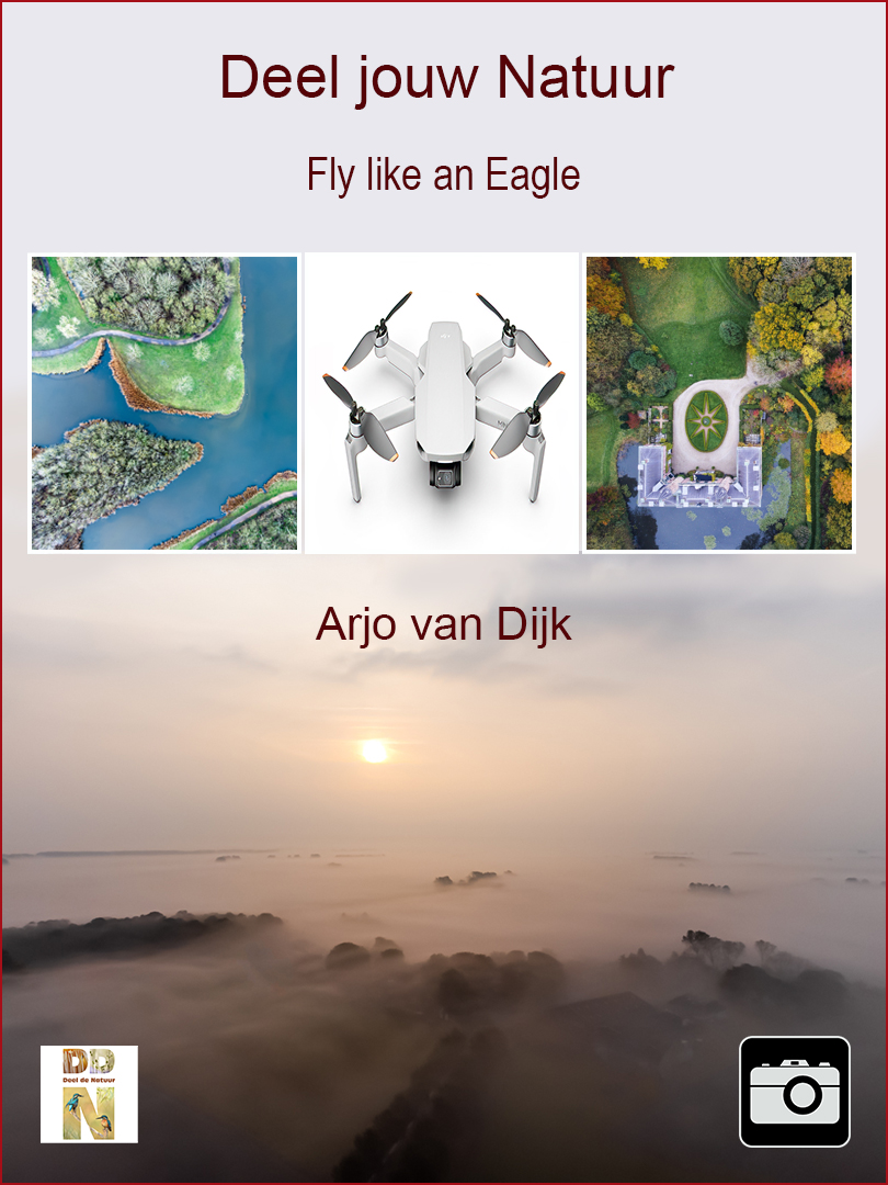 Arjo van Dijk - Fly like an Eagle