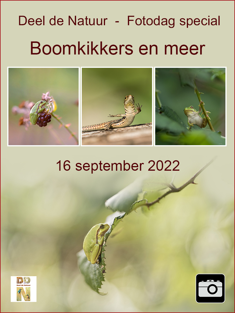 DDN Spotlight Fotodag Special Boomkikkers en Meer 2022
