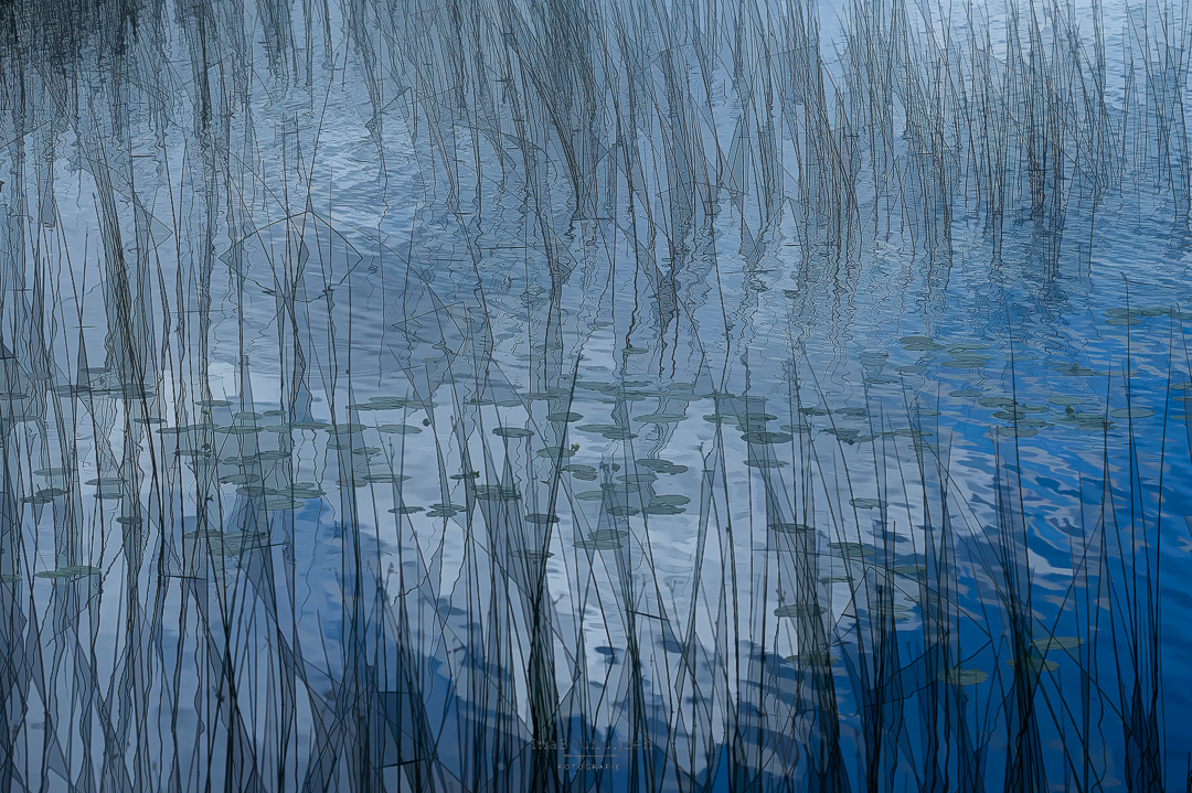 DDN Abstract riet-1