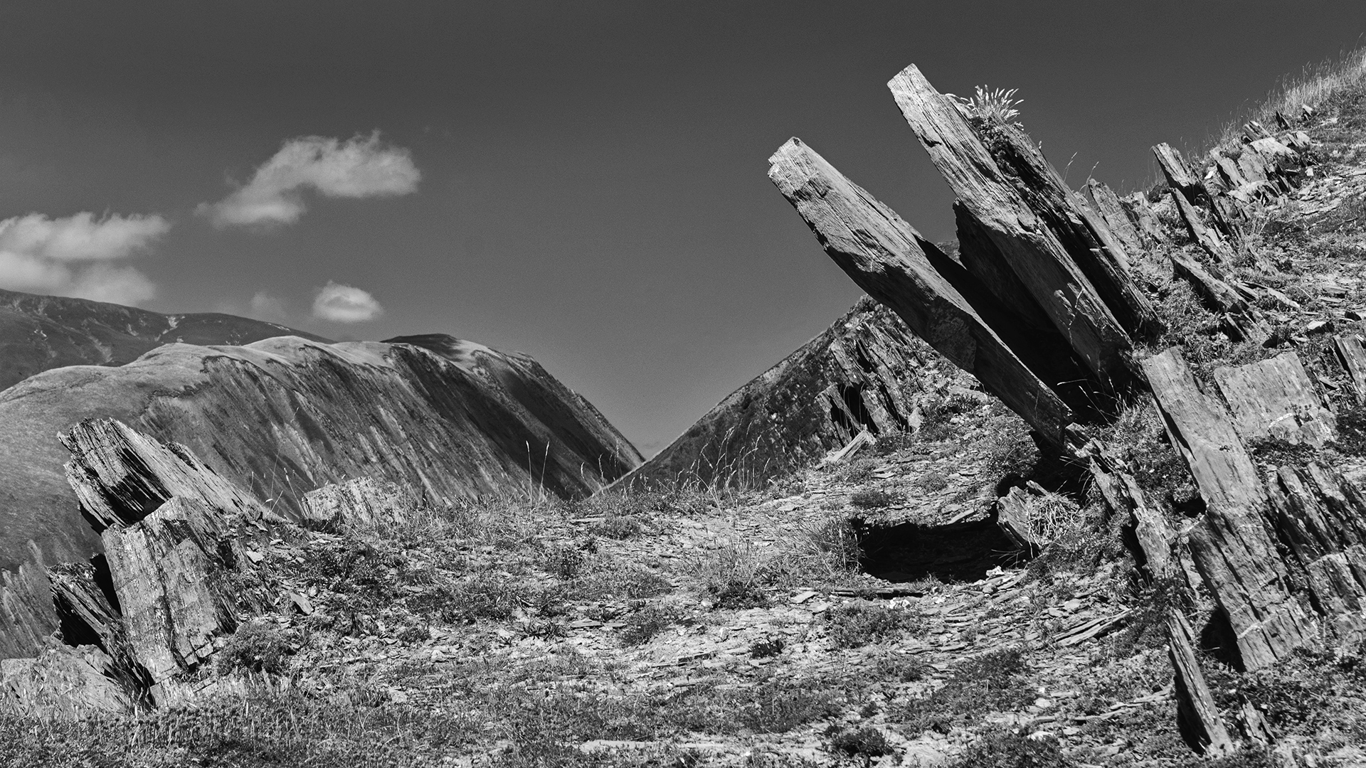 3172 zw Spitzen Ecrins 2022-07-29 Bw-nv-rus 1920