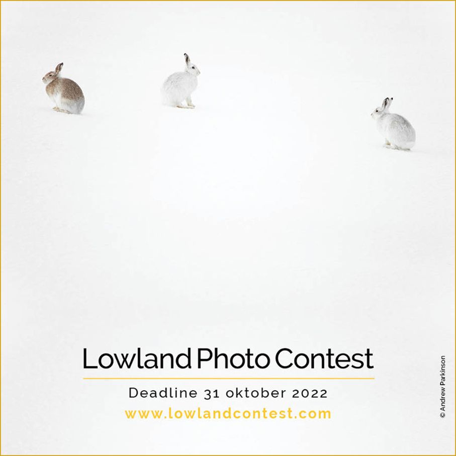 DDN - Lowland Contest promotie 1080PX