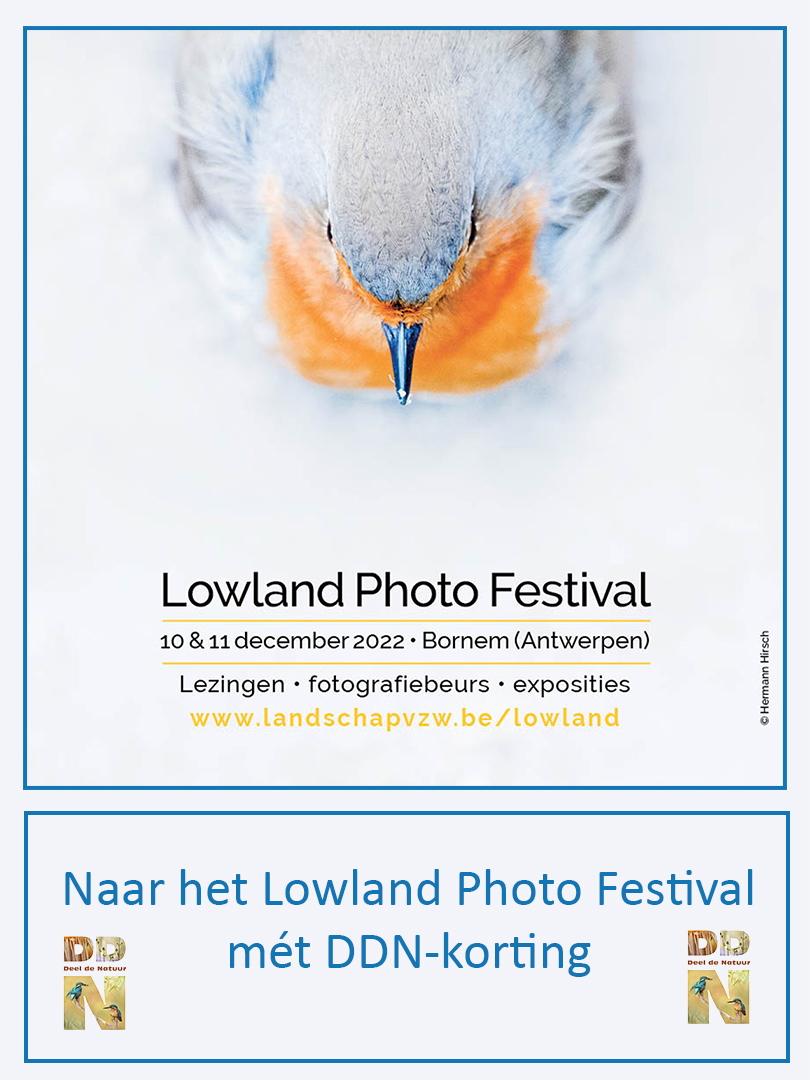 DDN - Lowland Festival promotie v2 1080PX 