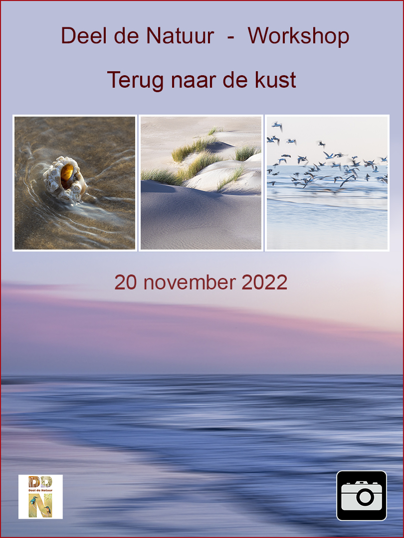 DDN Spotlight Workshop Terug naar de kust 20 nov 2022
