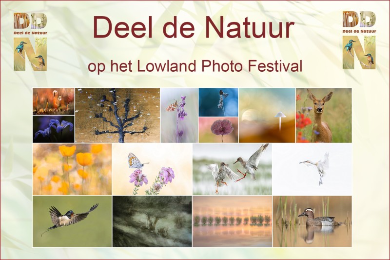 Deel de Natuur op het Lowland Photo Festival!