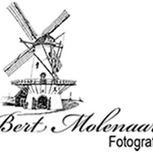 Profielfoto van Bert Molenaar