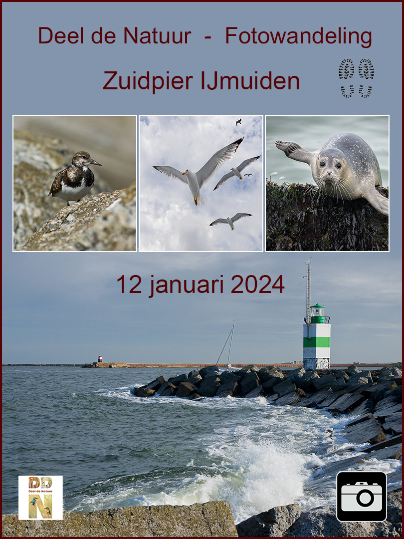 12 jan DDN Spotlight Fotowandeling - Zuidpier IJmuiden 12-01-2024