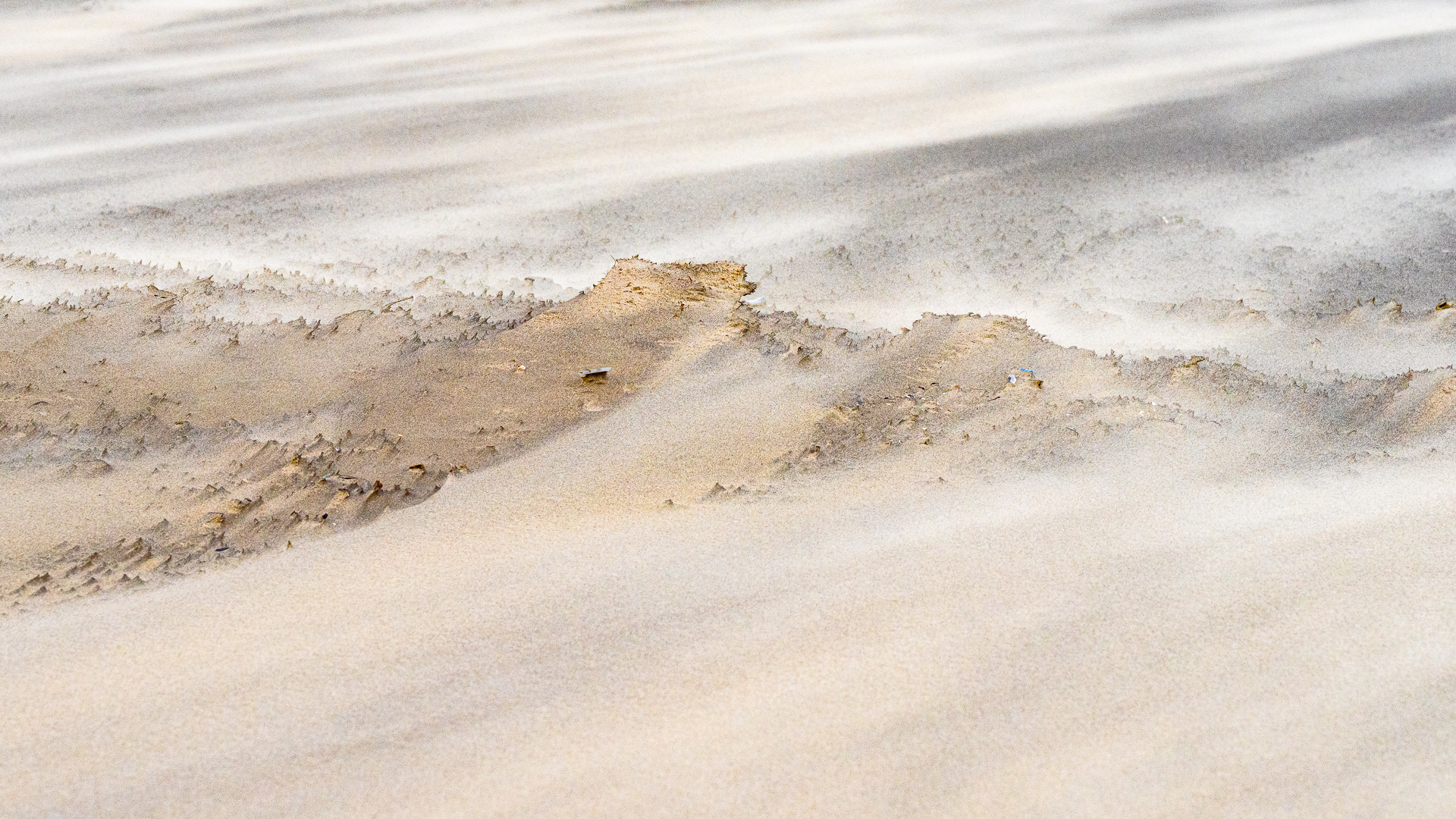 Zand  en wind - Deel de Natuur - Loes Belovics