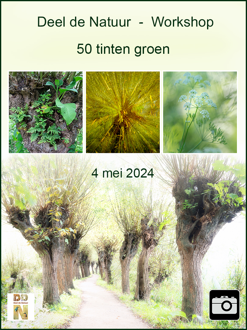 Workshop 50 tinten groen