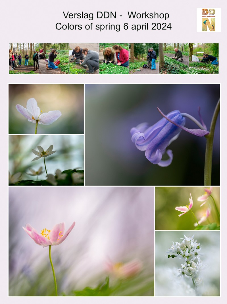Verslag Workshop Colors of spring
