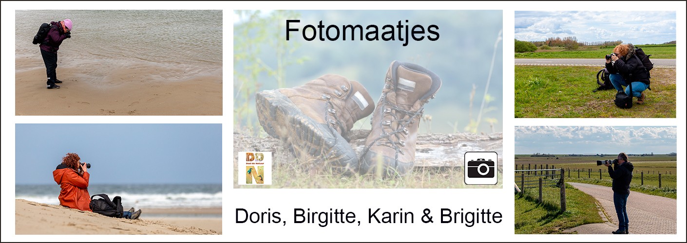 Fotomaatjes Doris, Birgitte, Karin en Brigitte