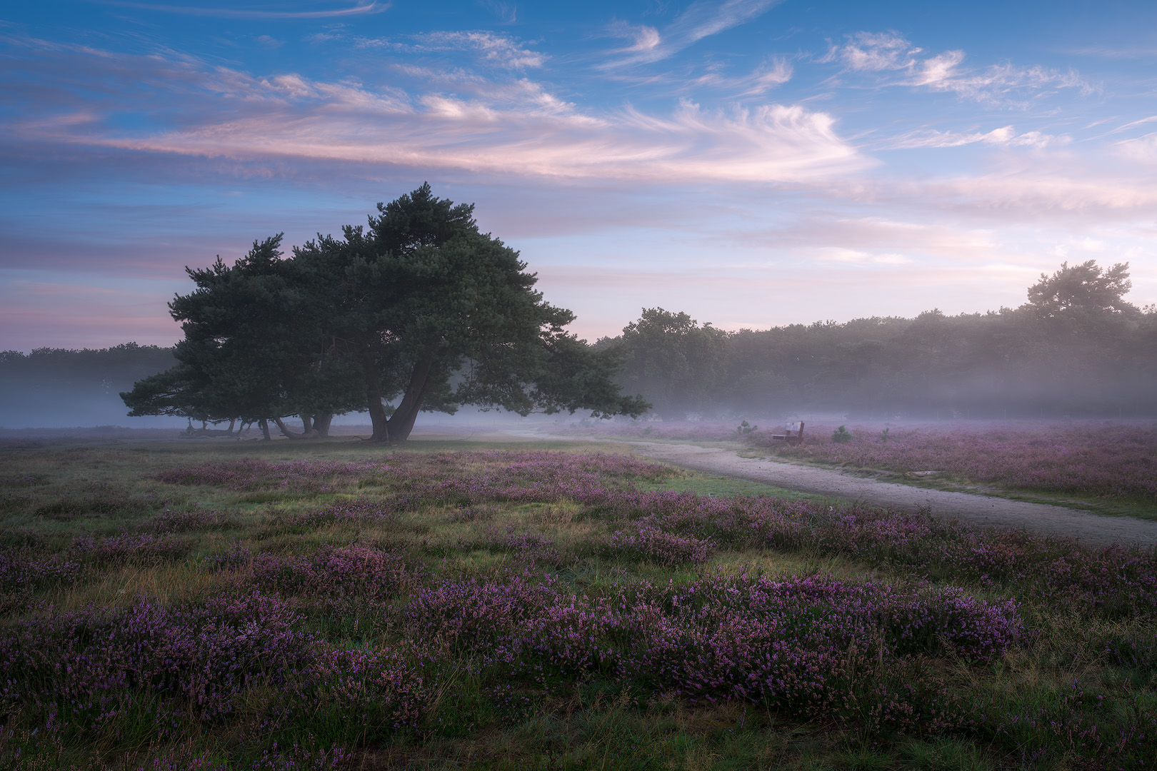 Bussemerheide-deeldenatuur