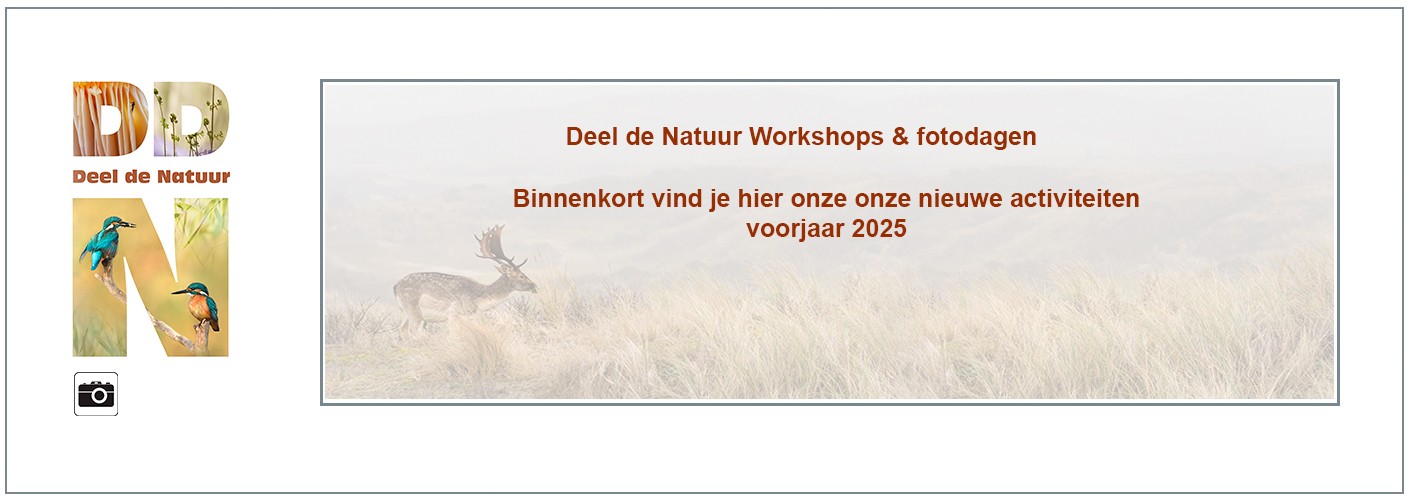 Binnenkort nieuwe activiteiten 2025!