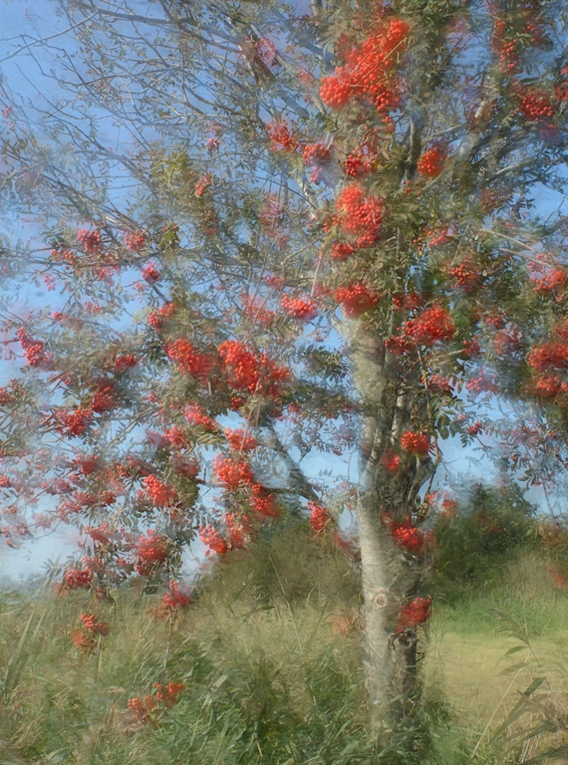 zomerse herfst