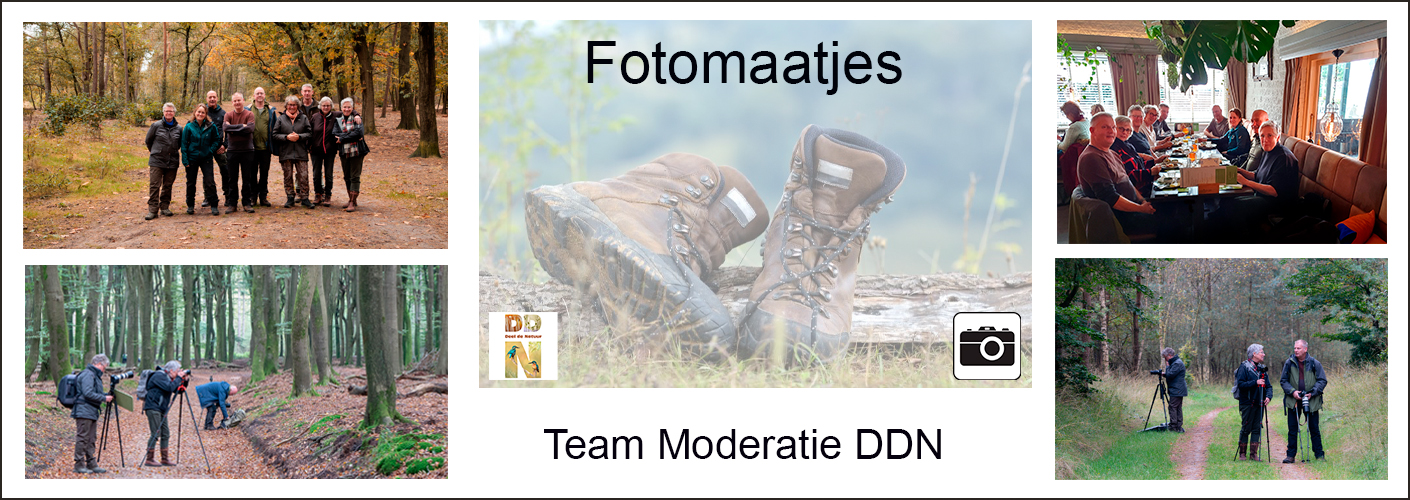 Teamuitje DDN-moderatoren