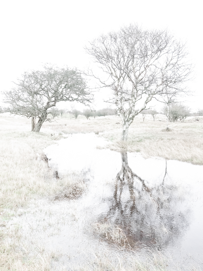 Duinlandschap - Deel de Natuur - Loes Belovics