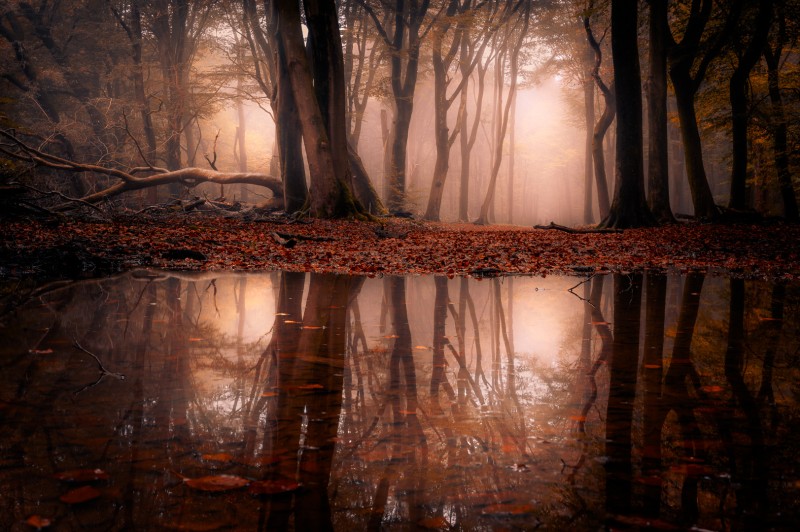 Heerlijke herfst