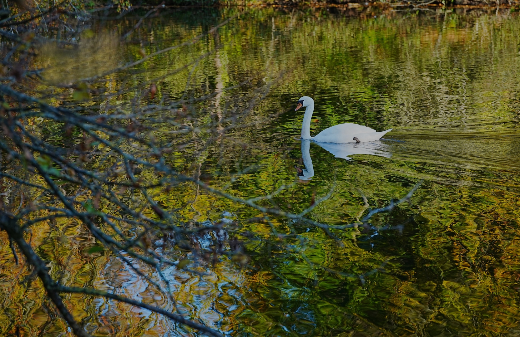 DSC01373 DDN Brouwerskolk 25102024 3