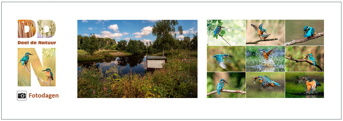 Fotodag Special 'IJsvogels en meer'