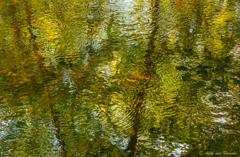 Herfst reflecties