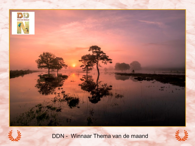 Winnaar maandthema "Reflecties"