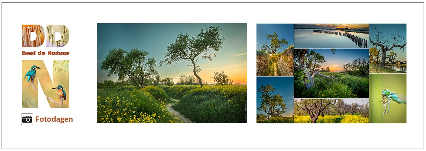 Fotodag Werk aan de Groeneweg