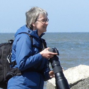 Profielfoto van Petra Kilwinger