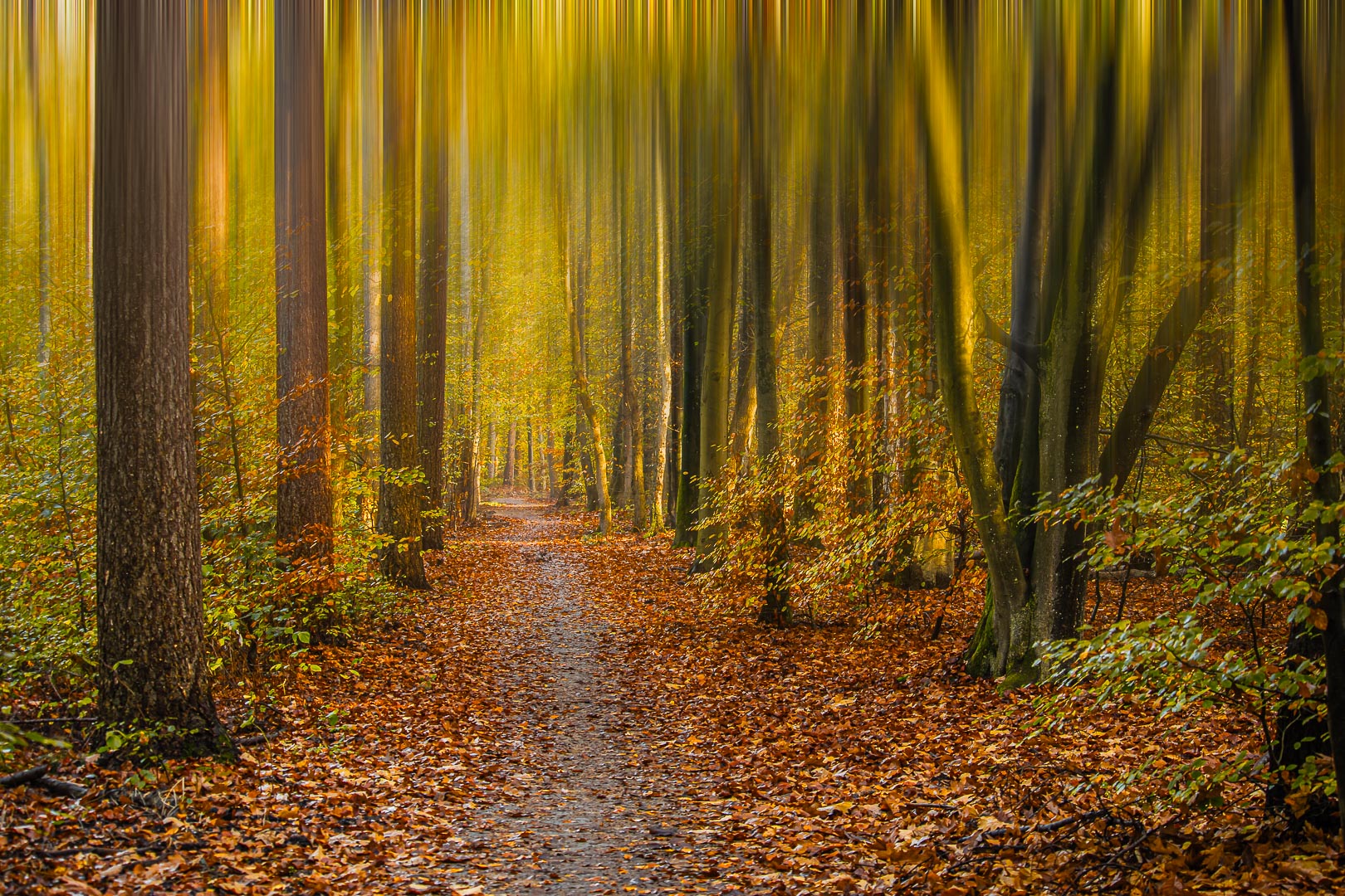 2024 herfst putten bewerkt-7