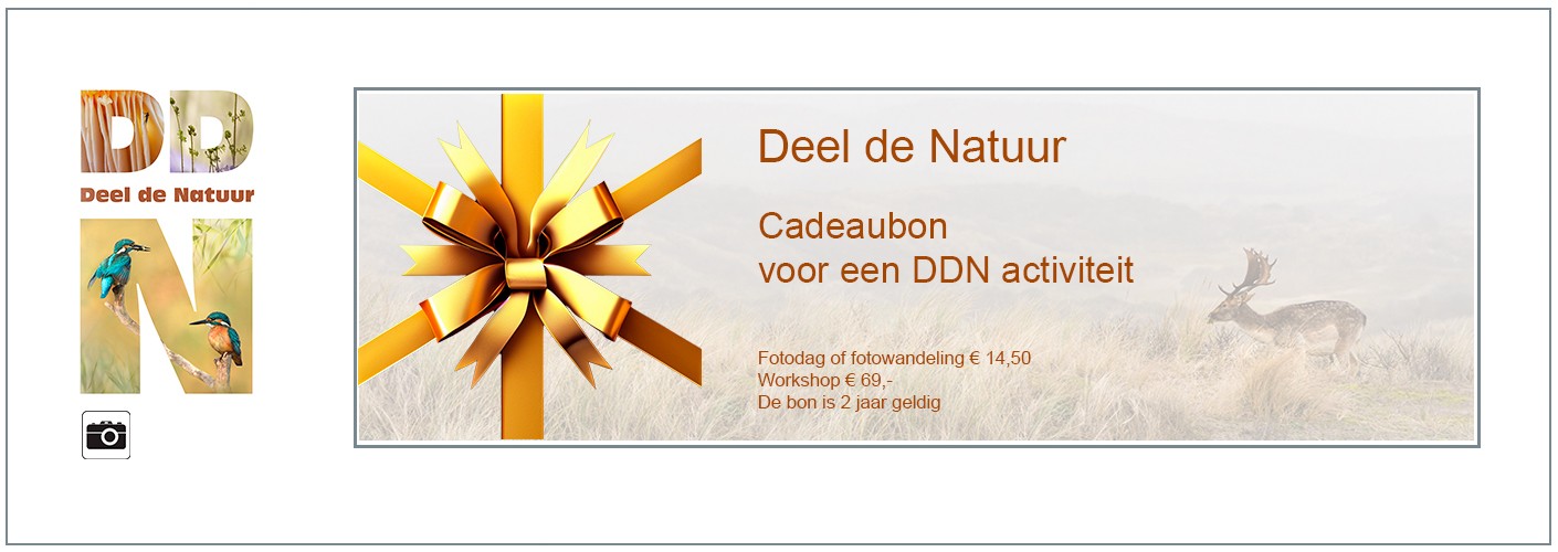 Cadeaubon DDN Workshop of Fotodag/-wandeling