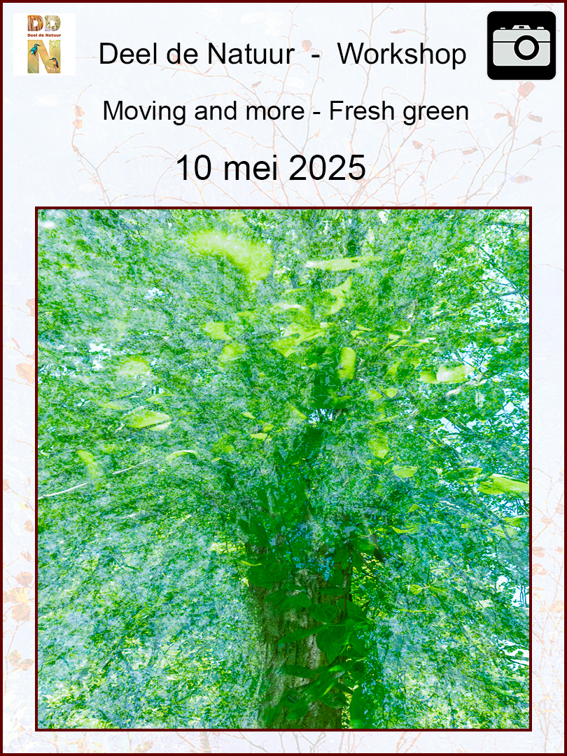 DDN Spotlight Moving and more Fresh Green 2025 