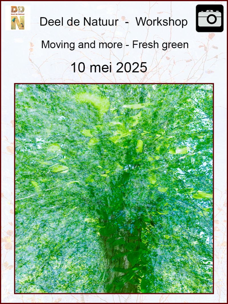 Workshop Moving and more - Fresh Green