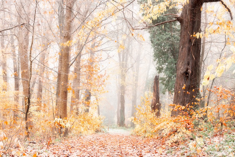 When winter meets autumn